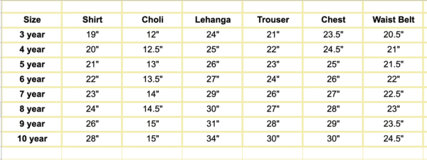 Nooria Lehanga Choli set - Image 6