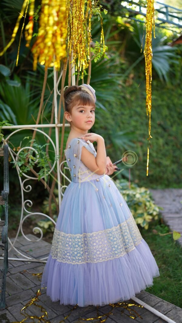 Alizeh Gown - Image 3