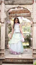 Titli Lehanga Choli Set - Image 3