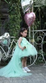 Sylvie Tutu Dress - Image 6