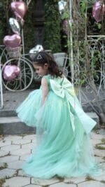 Sylvie Tutu Dress - Image 5