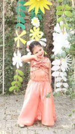 Sitara Co-ord Set - Image 2