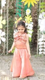 Sitara Co-ord Set - Image 4